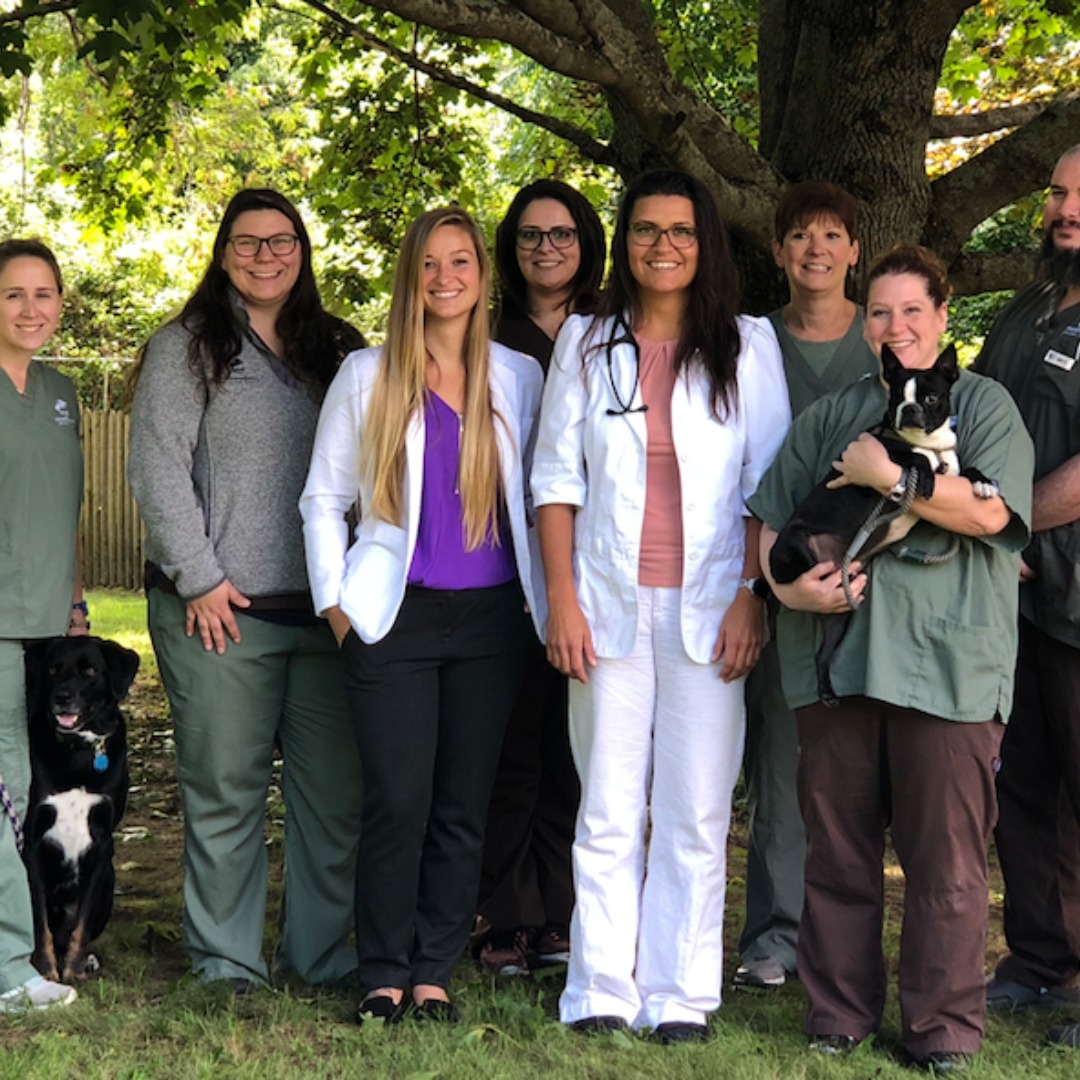 Cumberland, RI 02864 Veterinarians Diamond Hill Animal Clinic